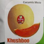 بذر ملون آناناسی سیمونز هیبرید