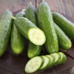 بذر خیار بت آلفا