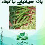بذر باقلا اسپانیایی پا کوتاه