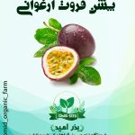 بذر پشن فروت ارغوانی