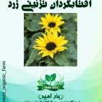 بذر آفتابگردان تزئینی زرد ( گل ریز )