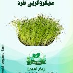 بذر میکرو گرین تره