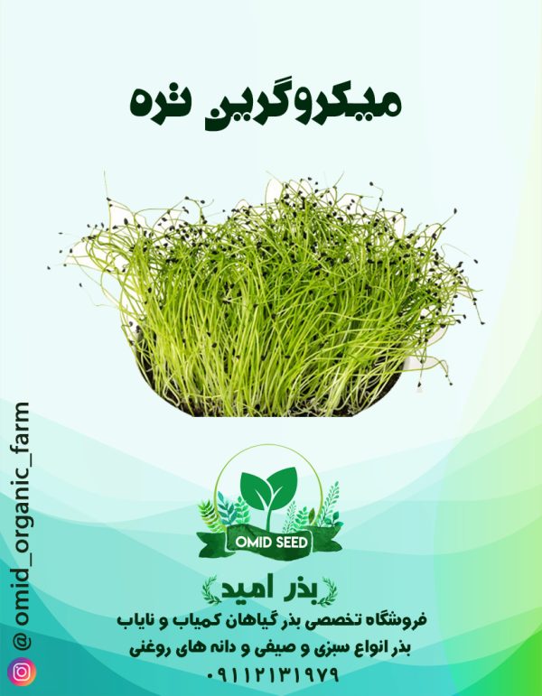 بذر میکرو گرین تره - تصویر 1