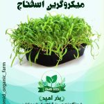 بذر میکرو گرین اسفناج