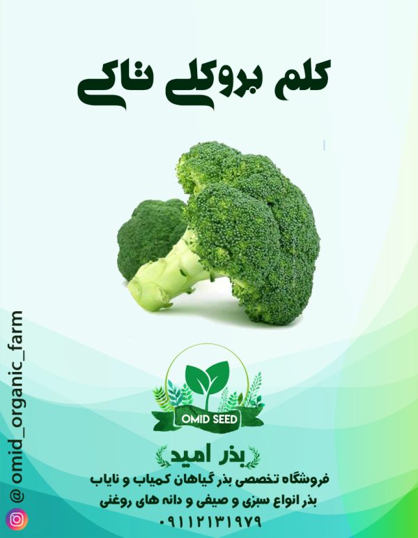 بذر بروکلی تاکی هیبرید - تصویر 1