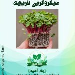 بذر میکرو گرین تربچه