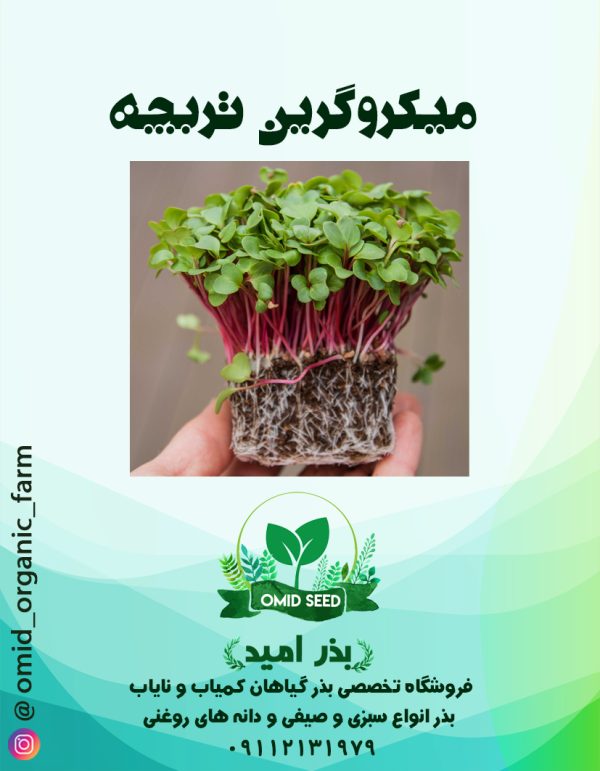 بذر میکرو گرین تربچه - تصویر 1
