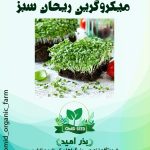 بذر میکرو گرین ریحان سبز