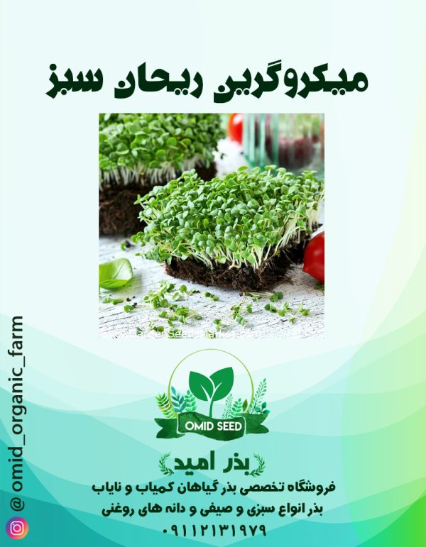 بذر میکرو گرین ریحان سبز - تصویر 1