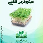 بذر میکرو گرین شاهی