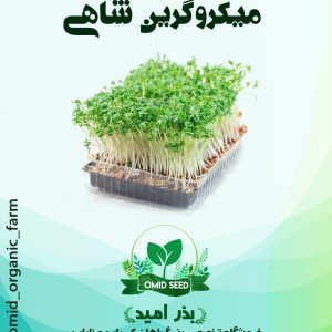 بذر میکرو گرین شاهی
