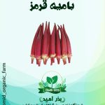 بذر بامیه قرمز