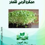 بذر میکرو گرین شبدر