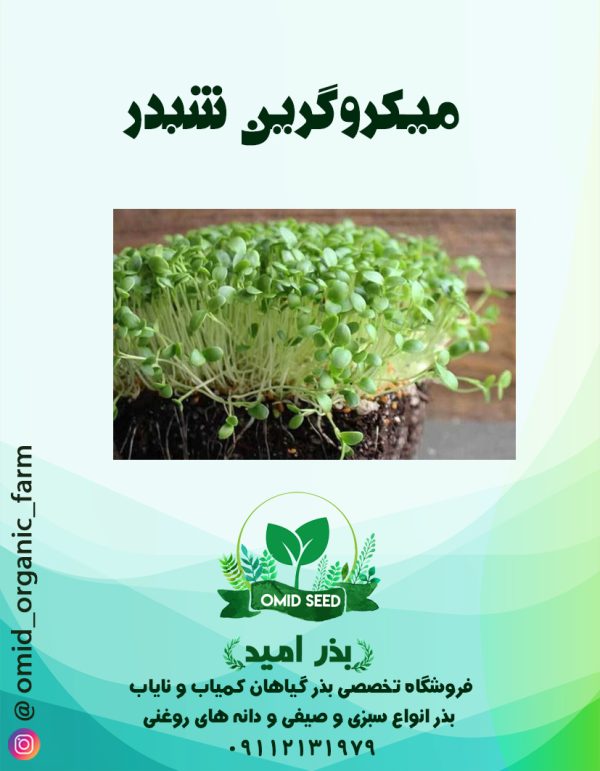 بذر میکرو گرین شبدر - تصویر 1