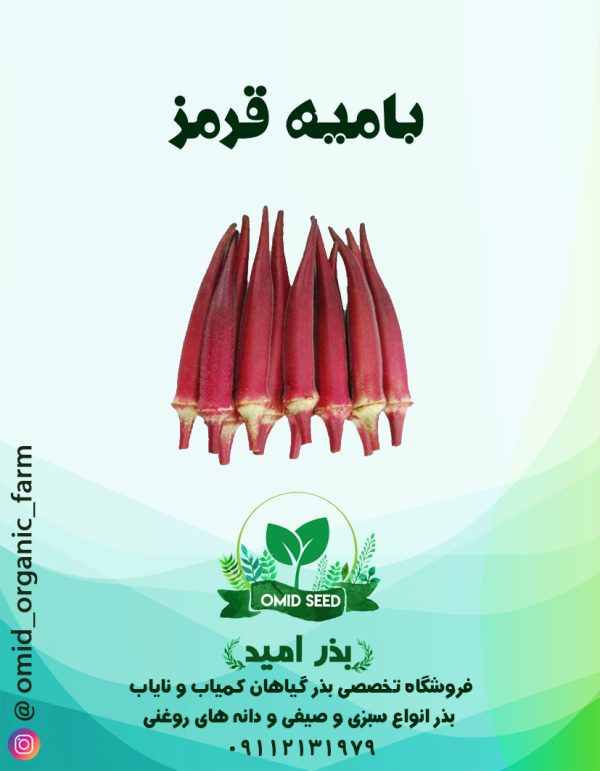 بذر بامیه قرمز - تصویر 1