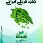 بذر نخود فرنگی ایرانی پفکی ثمین