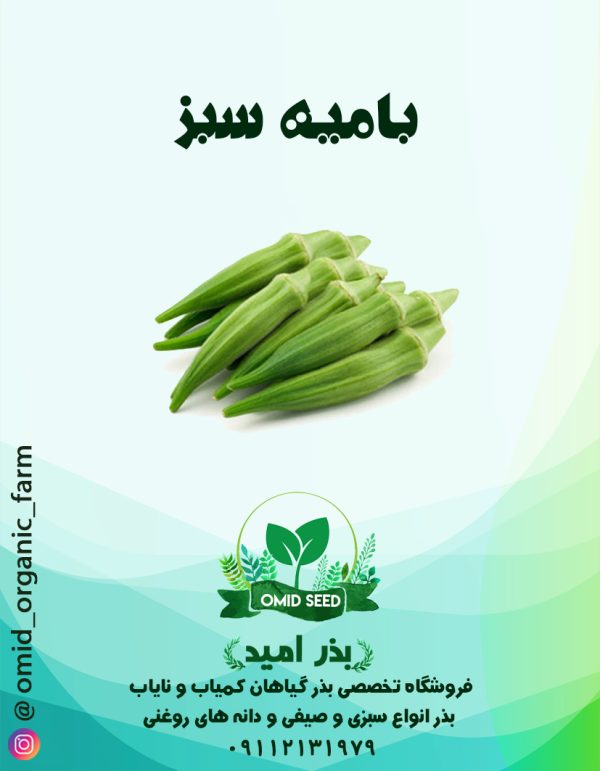 بذر بامیه سبز هلندی - تصویر 1