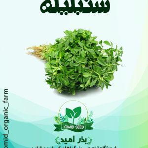 بذر شمبلیله اردستانی