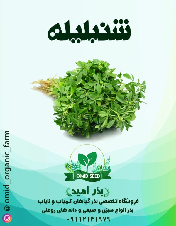 بذر شمبلیله اردستانی - تصویر 1