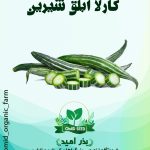 بذر کارلا ماری ابلق