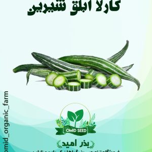 بذر کارلا ماری ابلق