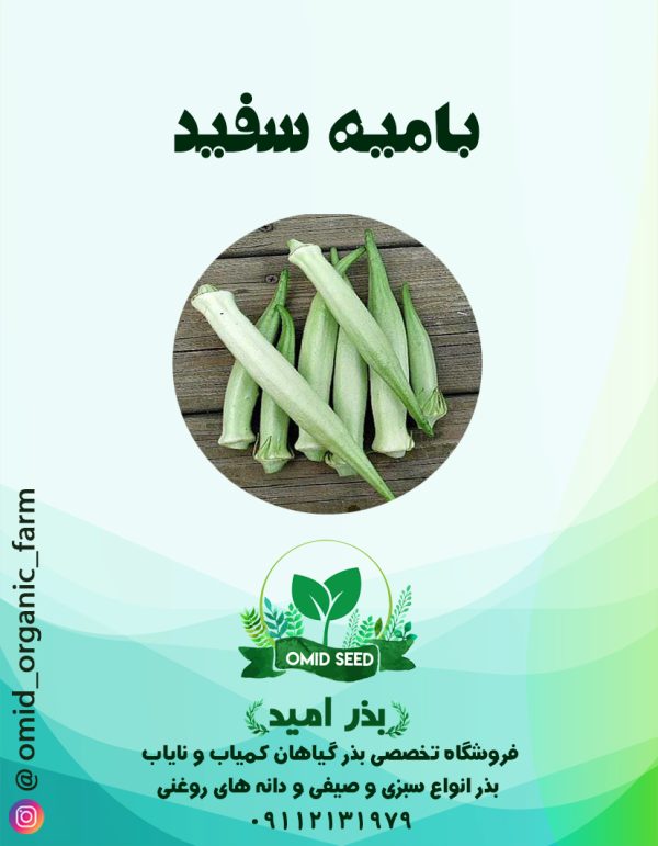 بذر بامیه سفید - تصویر 1