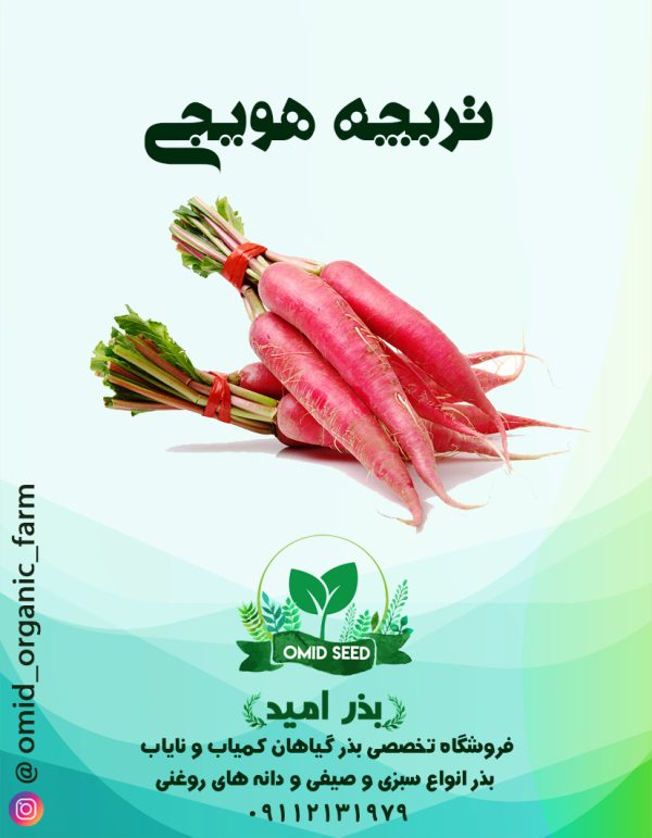 بذر تربچه هویجی هلندی - تصویر 1