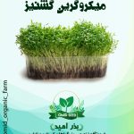 بذر میکرو گرین گشنیز