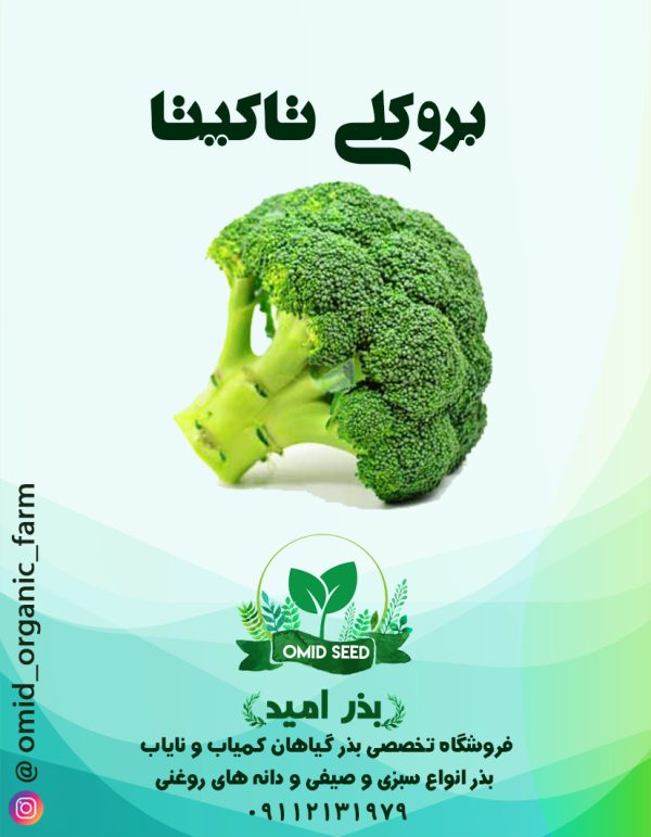 بذر کلم بروکلی هیبرید توکیتا - تصویر 1