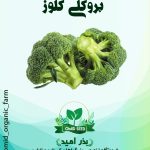 بذر کلم بروکلی هیبرید ساکاتا