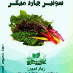 بذر سوئیس چارد میکس