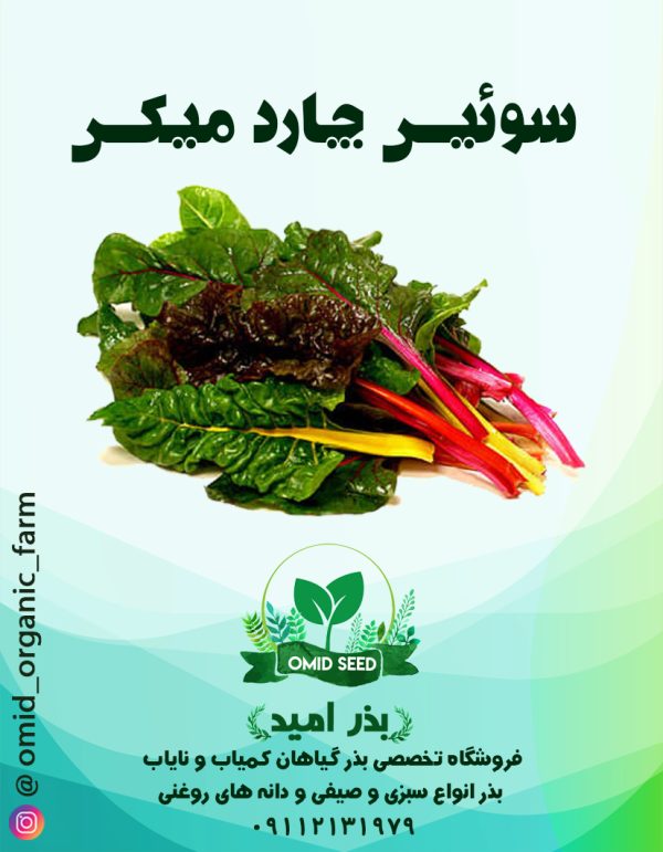 بذر سوئیس چارد میکس - تصویر 1