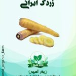 بذر زرد ک ایرانی