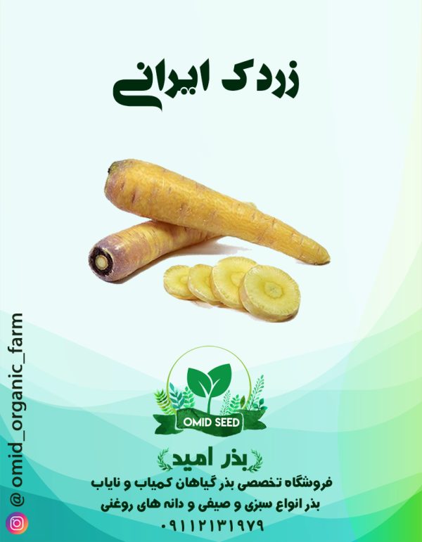 بذر زرد ک ایرانی - تصویر 1