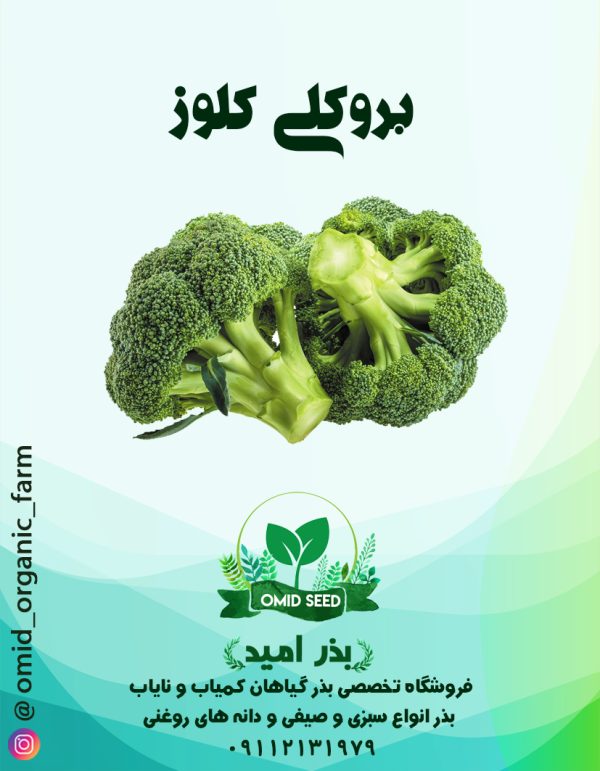 بذر کلم بروکلی هیبرید کلوز - تصویر 1