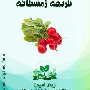 بذر تربچه نقلی زمستانه بیجو