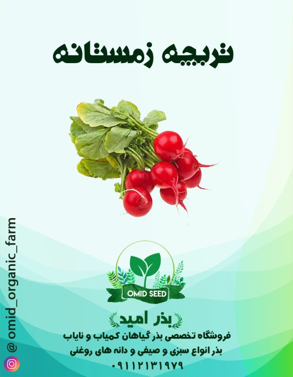 بذر تربچه نقلی زمستانه بیجو - تصویر 1