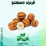 بذر دستنبو
