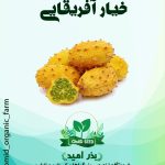 بذر خیار افریقایی ( کیوانو )