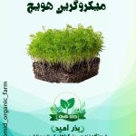 بذر میکرو گرین هویج