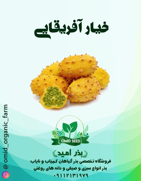 بذر خیار افریقایی ( کیوانو ) - تصویر 1