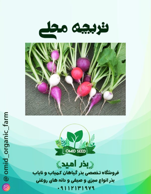 بذر ترچه محلی میکس - تصویر 1