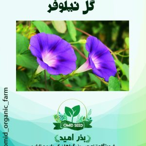 بذر گل نیلوفر