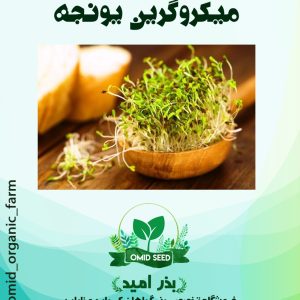 بذر میکرو گرین یونجه