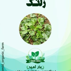 بذر زلنگ ( چوچاق )