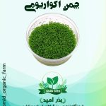 بذر چمن آکواریومی مونت کارلو