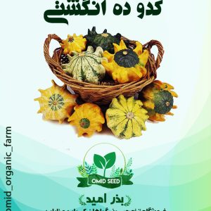 بذر کدو ده انگشتی