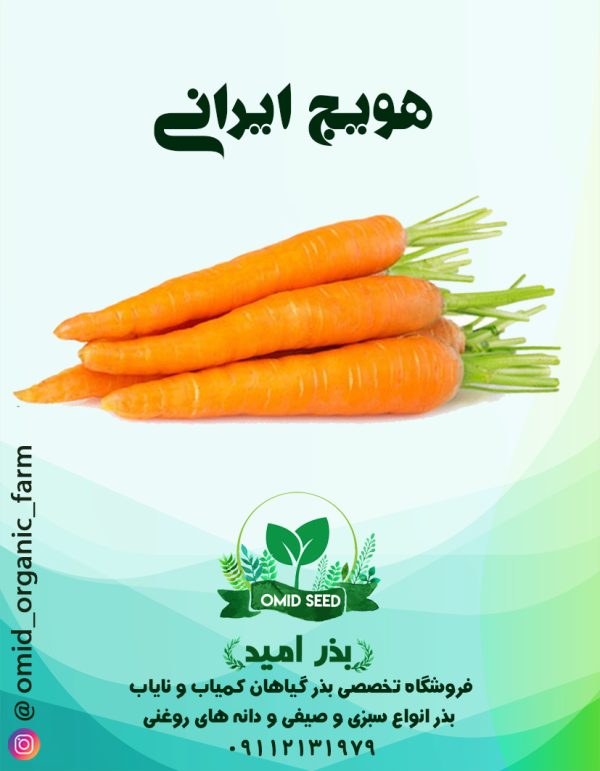 بذر هویج استاندارد زر ( ایرانی ) - تصویر 1