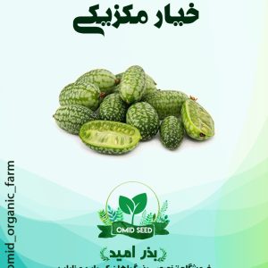 بذر خیار مکزیکی ترش
