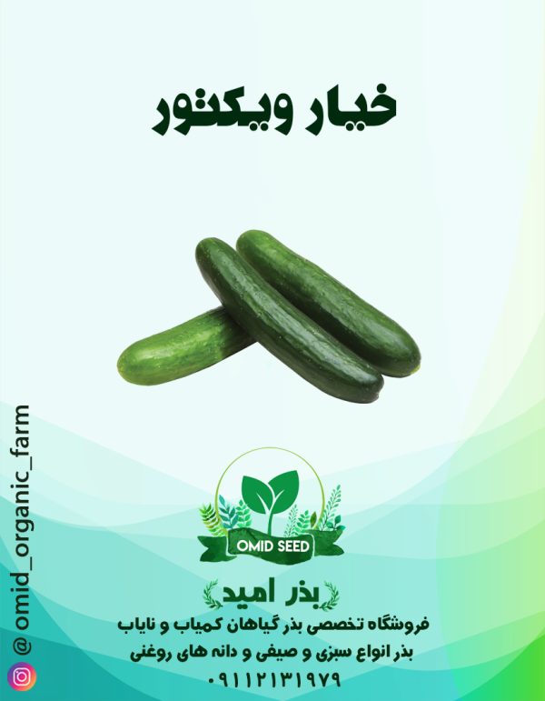 بذر خیار ویکتور ( آخرین تولید اصلی سمنیس ) - تصویر 1